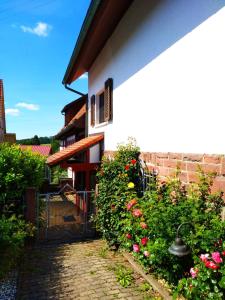 Ferienhaus Marré - mit Grill, Feuerstelle und Gartensauna