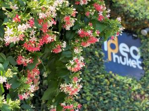 Ideo Phuket Hotel - Naiyang Beach