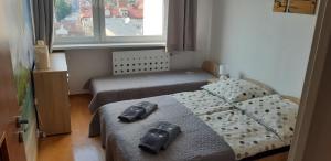 Apartament AM