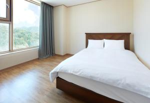 Phoenix Resort Pyeongchang