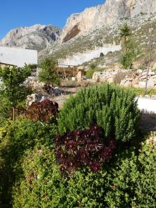 Casa Sabine Kalymnos Greece