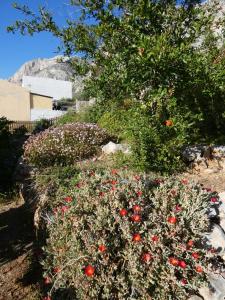 Casa Sabine Kalymnos Greece