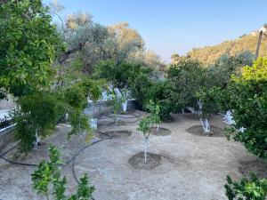 House with beautiful garden in Plomari Lesvos Greece