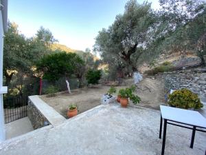 House with beautiful garden in Plomari Lesvos Greece