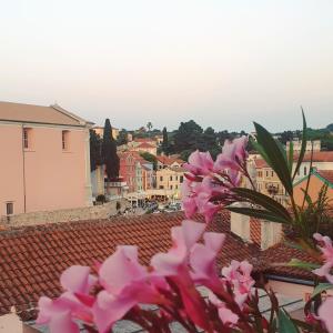 Narcis Central Apartment with Sea & City Views