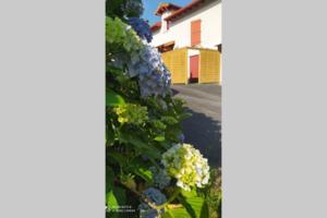 Appartement tout confort au calme