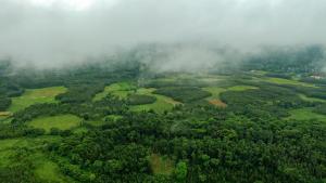 Vismita County