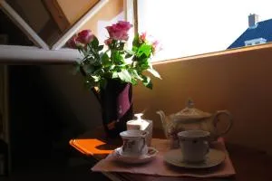 Wild Roses - Amesterdão