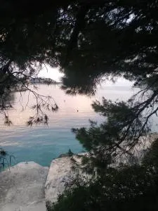 Apartment Lavanda Nova - 拉扎尼