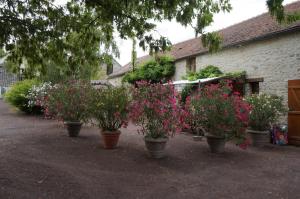 Maisons de vacances Fontaine Gargot - La sapiniere 5p : photos des chambres