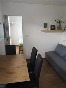 Apartment Damijan 