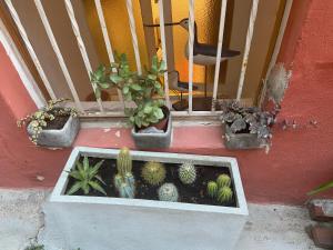 Joli Appart 29m2 en Vieille Ville Menton 2 mins de la mer