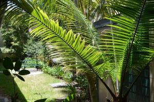 Avonmore On The Park Boutique Hotel