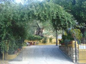 Villa Theodora Zakynthos Greece