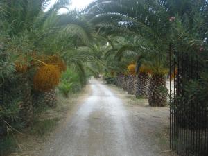 Villa Theodora Zakynthos Greece