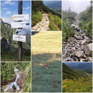 Apartamenty CEDE Zakopane