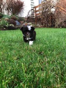 Fewo in sonniger Lage in Sagard