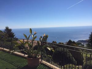 Villas Spacious Provencal Guesthouse with amazing Monaco & Sea View : photos des chambres