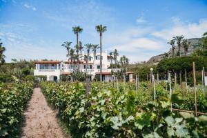 Residence San Domenico