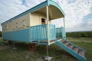 Zauberwagen Zirkuswagen Naturwagen - Gersdorf