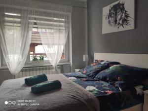 Apartament Tygrys