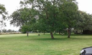 Maisons de vacances Le Lutice : photos des chambres