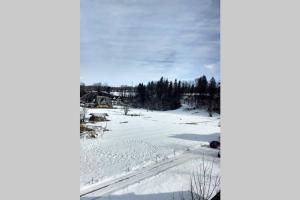 Apartament White Biały Dunajec