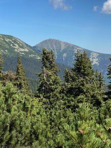 Apartmán v Srdci Hor Cihlářka