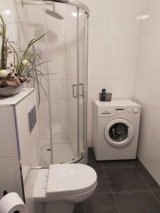 Apartament Sweet Night