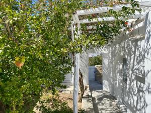 Maria Elena - Suite Home