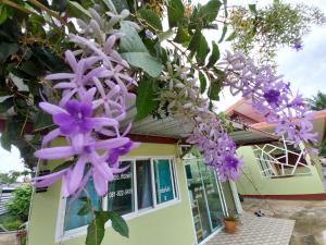 ชาลีรีสอร์ท ชุมพร