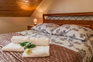 Pensjonat Cyrkon - strażnik młodszego Paleozoiku