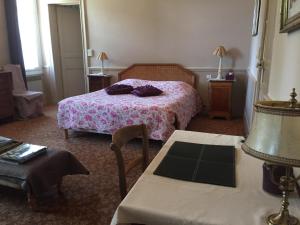 B&B / Chambres d'hotes Chateau de Pintray : photos des chambres