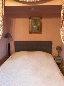B&B / Chambres d'hotes Chateau de Pintray : photos des chambres