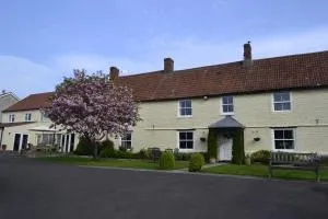 The Lawns Tea Room and B&B - Shapwick