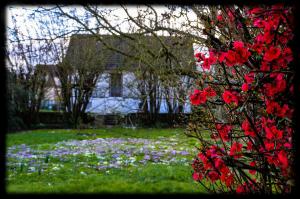 Campings Le Petit Chene : photos des chambres