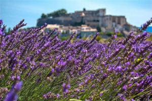 Hotels Premiere Classe Martigues : photos des chambres