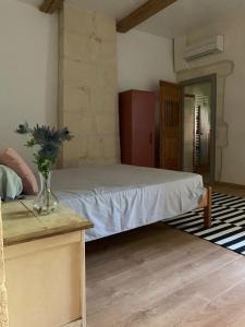 B&B / Chambres d'hotes Le Patio d'Arles : Chambre Lit King-Size - Vue sur Jardin