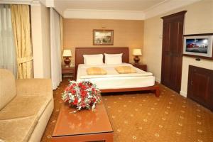 Executive Double Room room in Cartoon Hotel