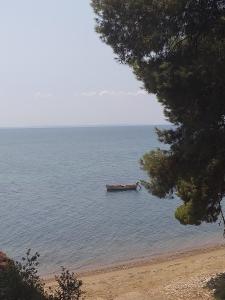 Cortessa Apartments Halkidiki Greece