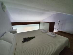 Apartments BBJezera