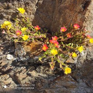 Casa Vacanza il Glicine