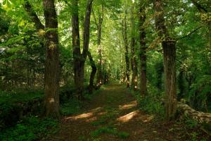 Hotels Hotel Les Demeures de Valette : photos des chambres