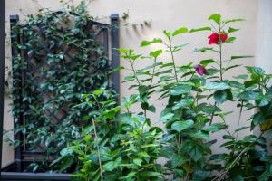 B&B I Propilei di San Girolamo