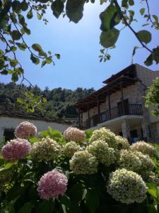 Venetias Stone House