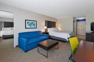 One-Bedroom King Suite room in Holiday Inn Express & Suites - Effingham an IHG Hotel