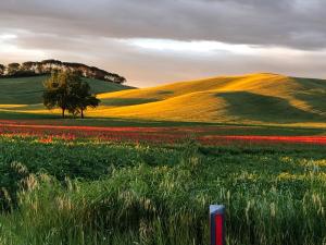 Tuscany Charme Boutique House