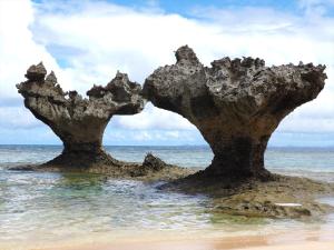 One Suite THE TERRACE