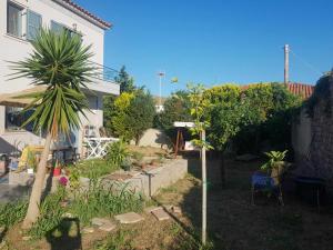 Secret garden Limnos Greece