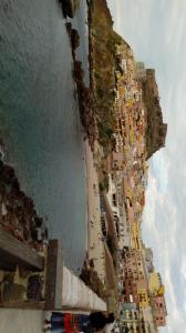 Cavalluccio Marino img125